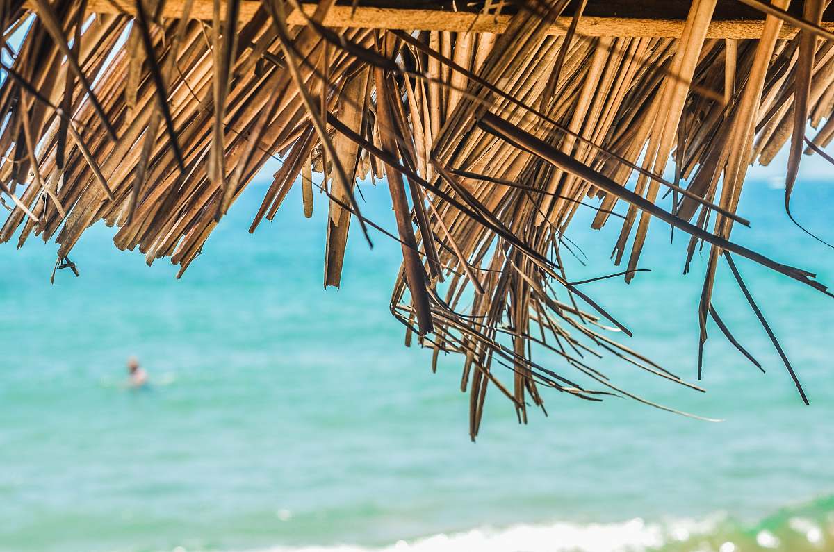 hut brown coconut hut near sea during daytime summer