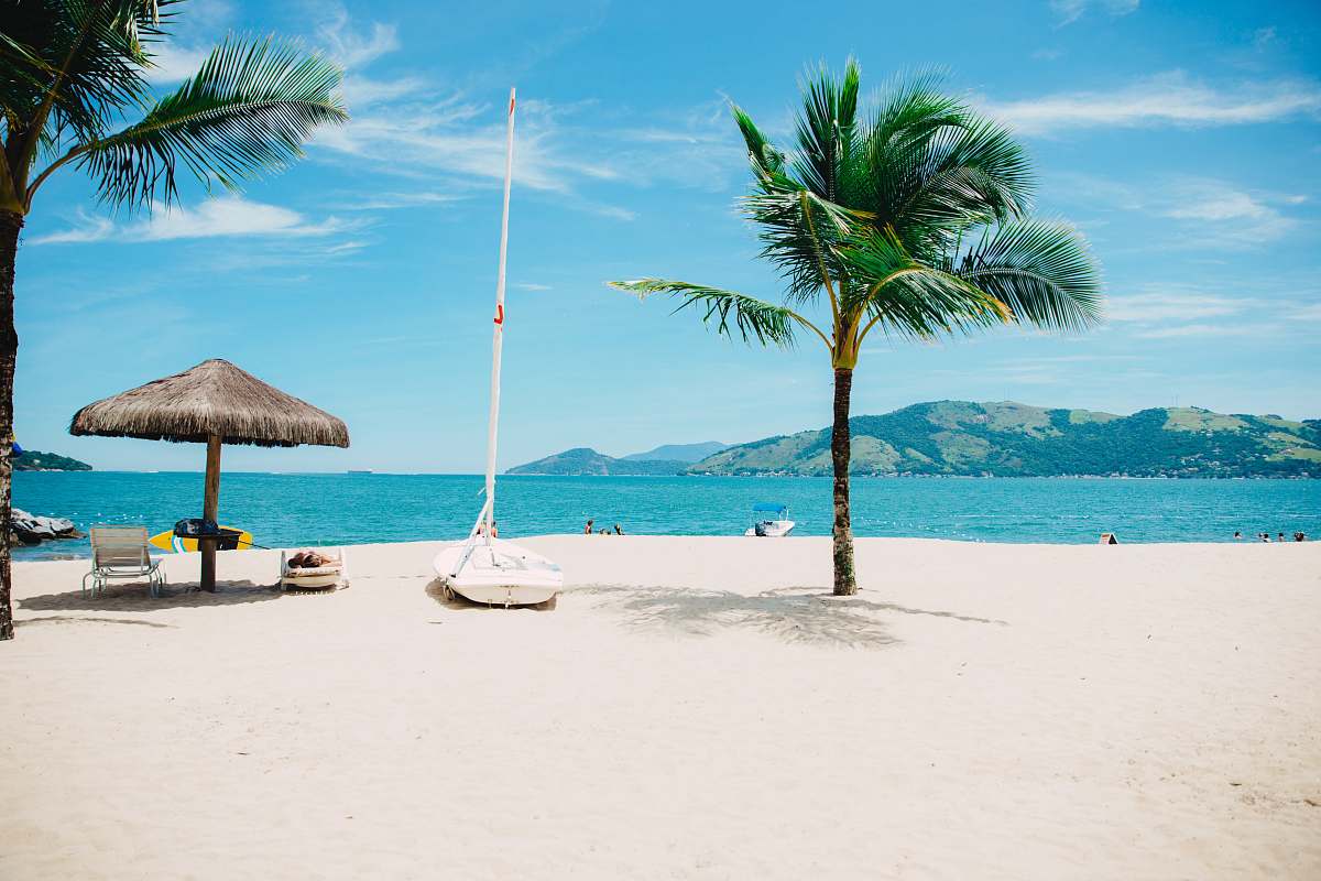 coast coconut tree near shore within mountain range nature