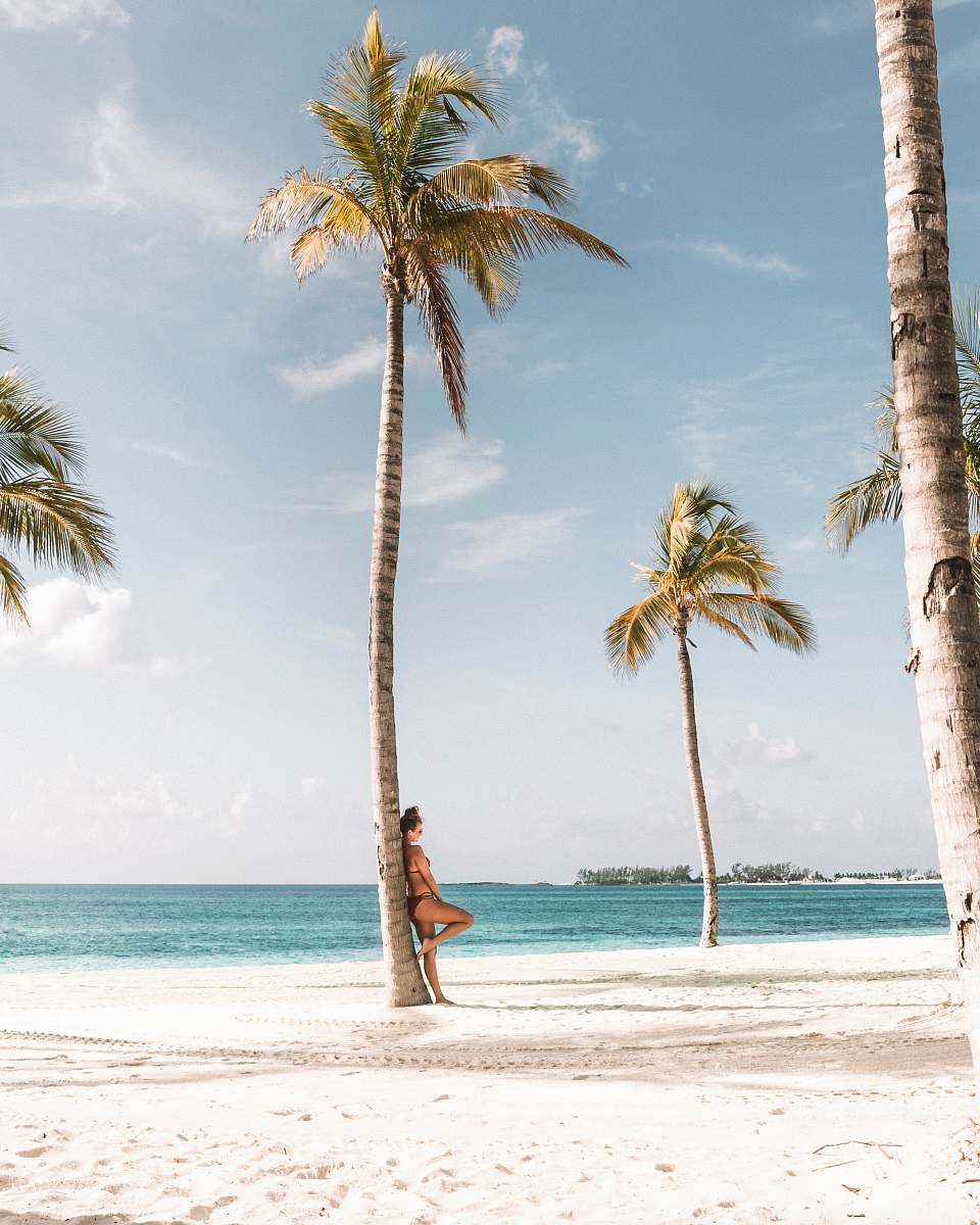 nature woman leaning on tree near beach palm tree