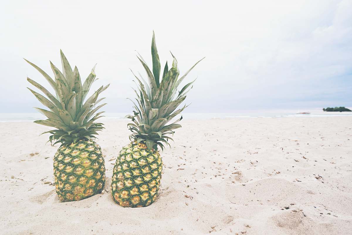 pineapple two pineapple fruits on sands fruit