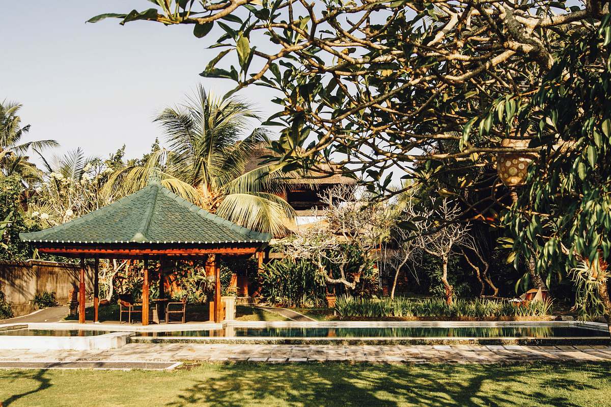 tree brown gazebo beside swimming pool surrounded with trees during daytime plant