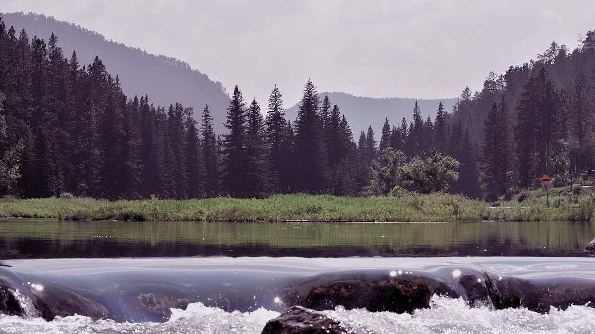 landscape wilderness at daytime land