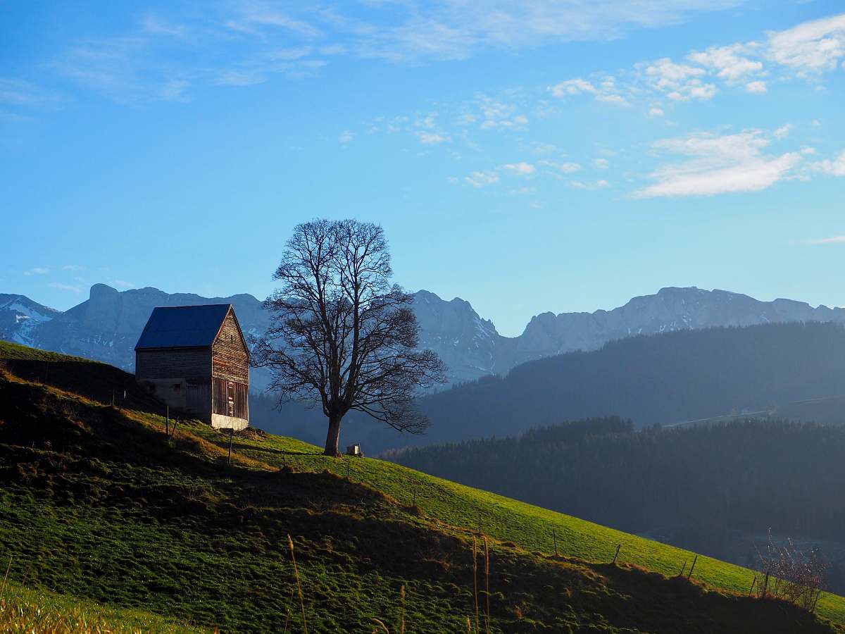 outdoors brown wooden house switzerland