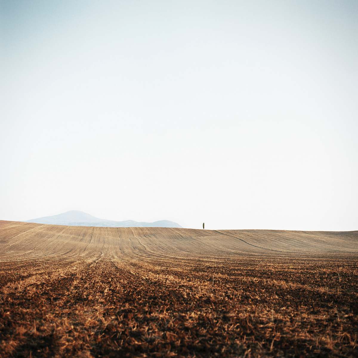 outdoors empty field ground