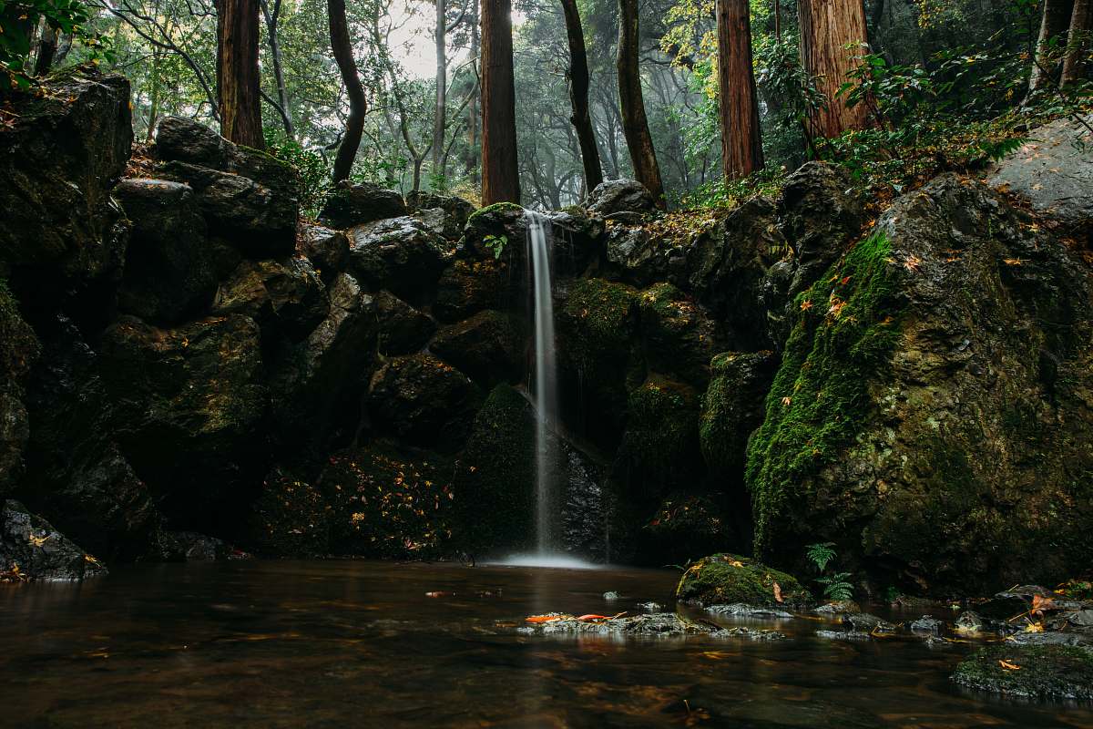 waterfall shallow focus photography of body of water surrounded by rocks tree