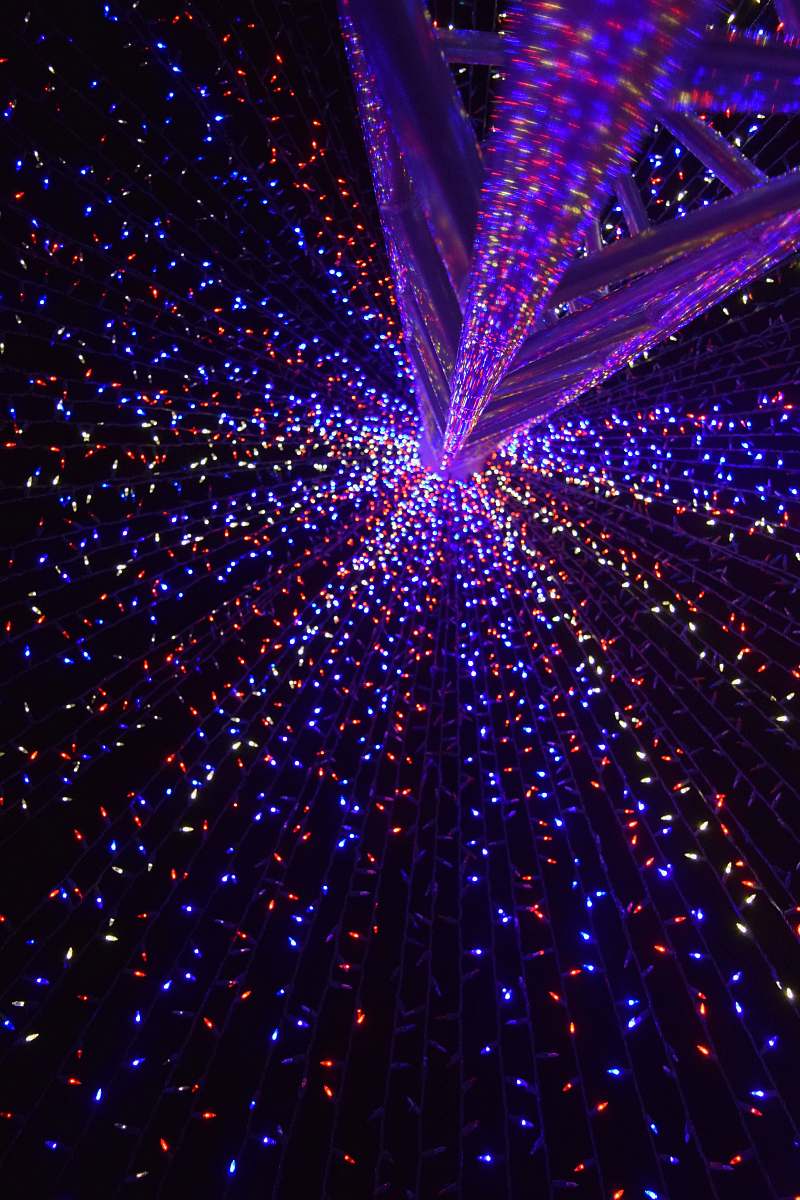 fireworks purple and red string lights outdoors