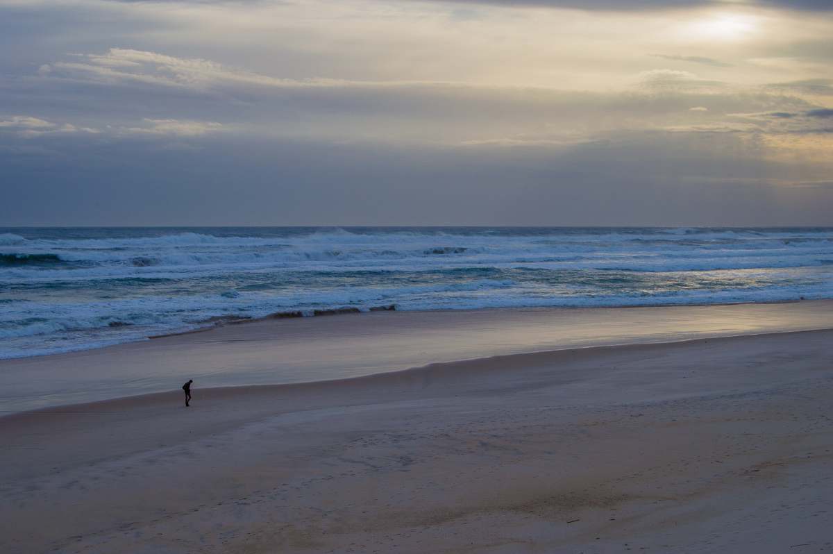 sea person walking on seashore beach
