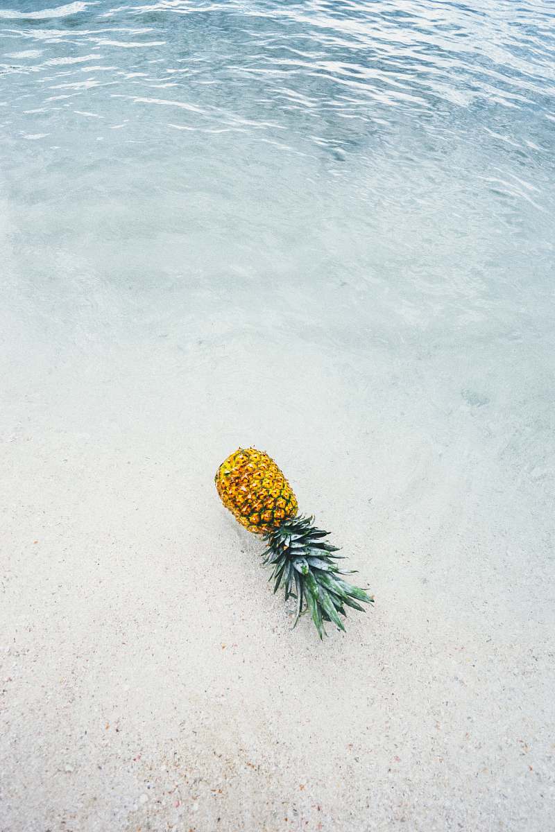 fruit pineapple on seashore summer