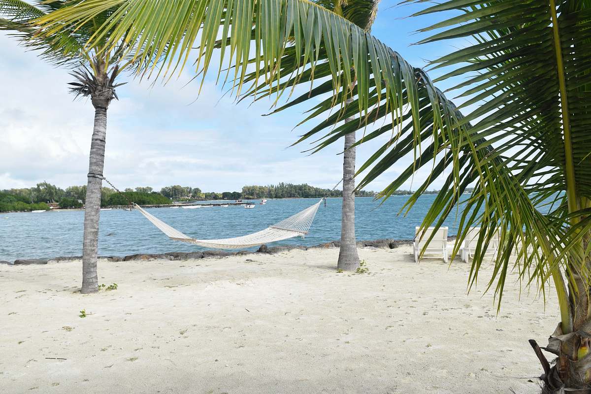 water white hammock in between palm tree on seashore palm tree