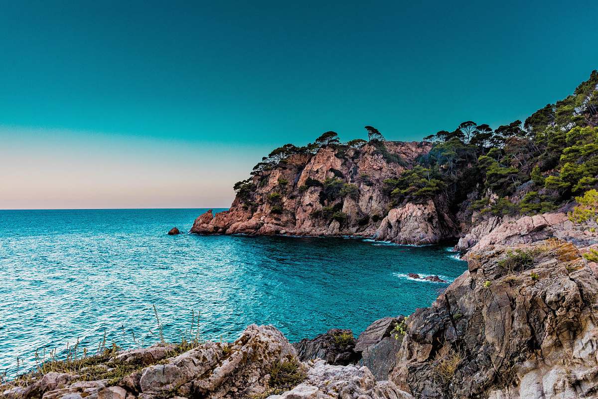 promontory green trees covered island marbella