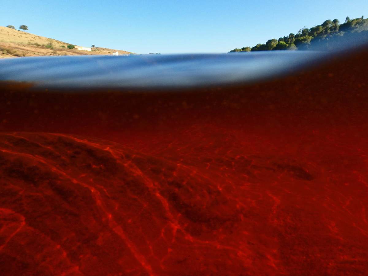 nature underwater photography of water