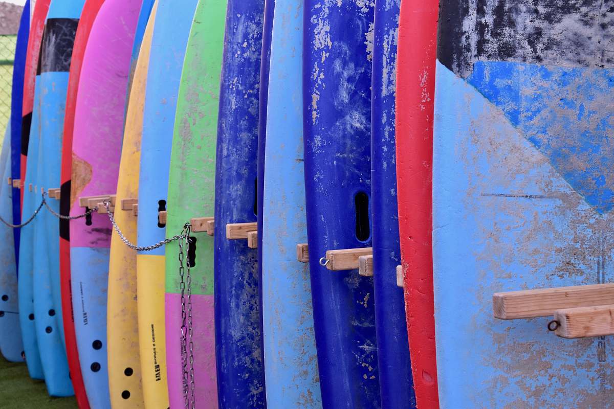 surfboard assorted-color surfboard set nature