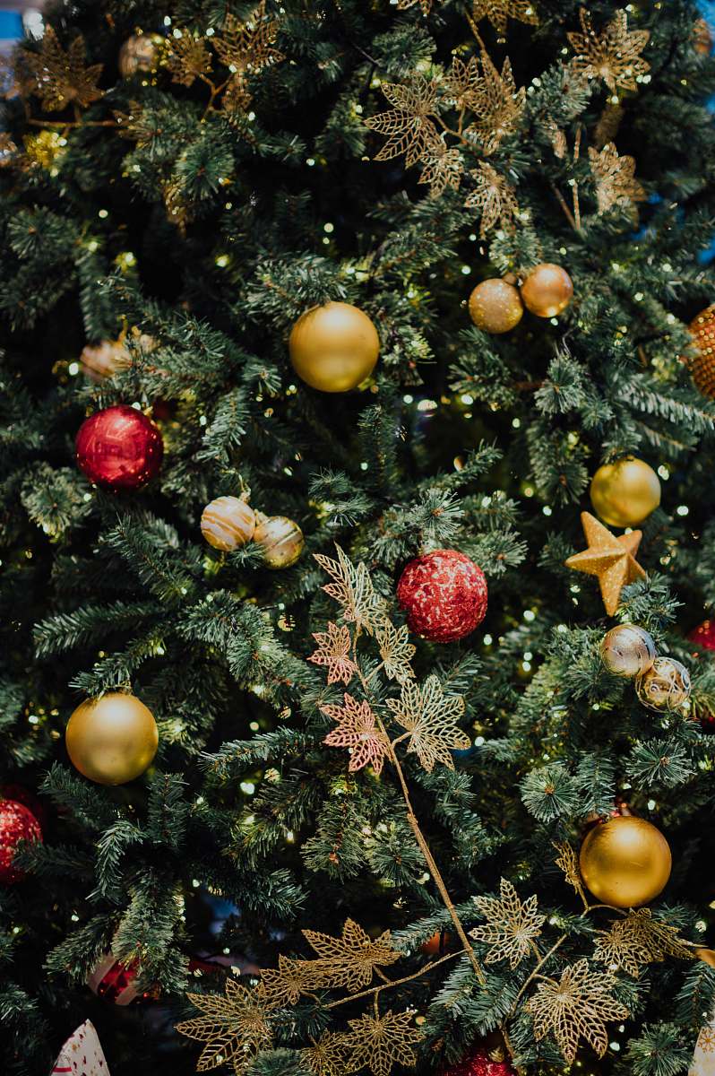 Plant Baubles Hanging On Christmas Tree Ornament Image Free Photo