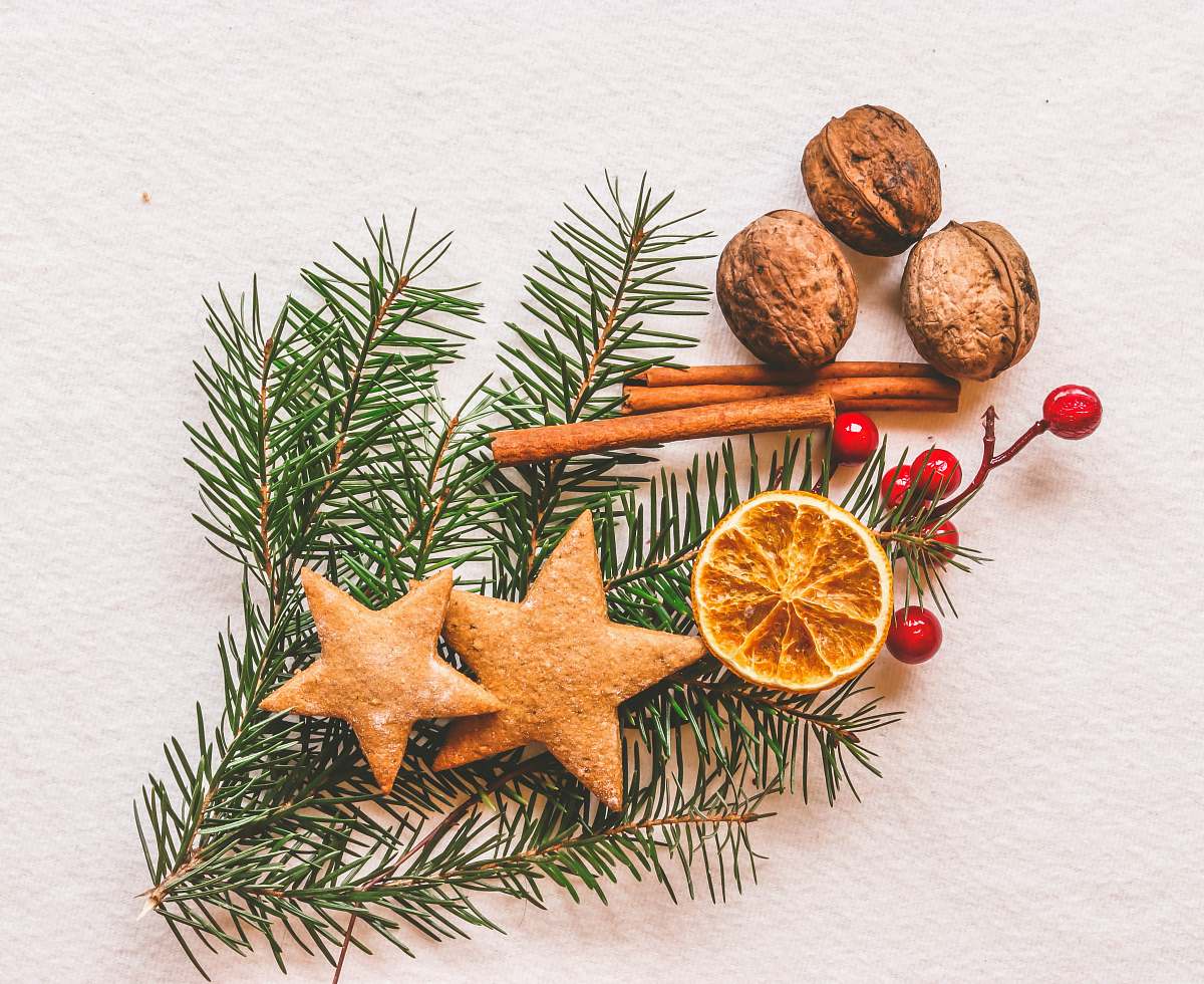 hungary brown nuts and star cookies conifer