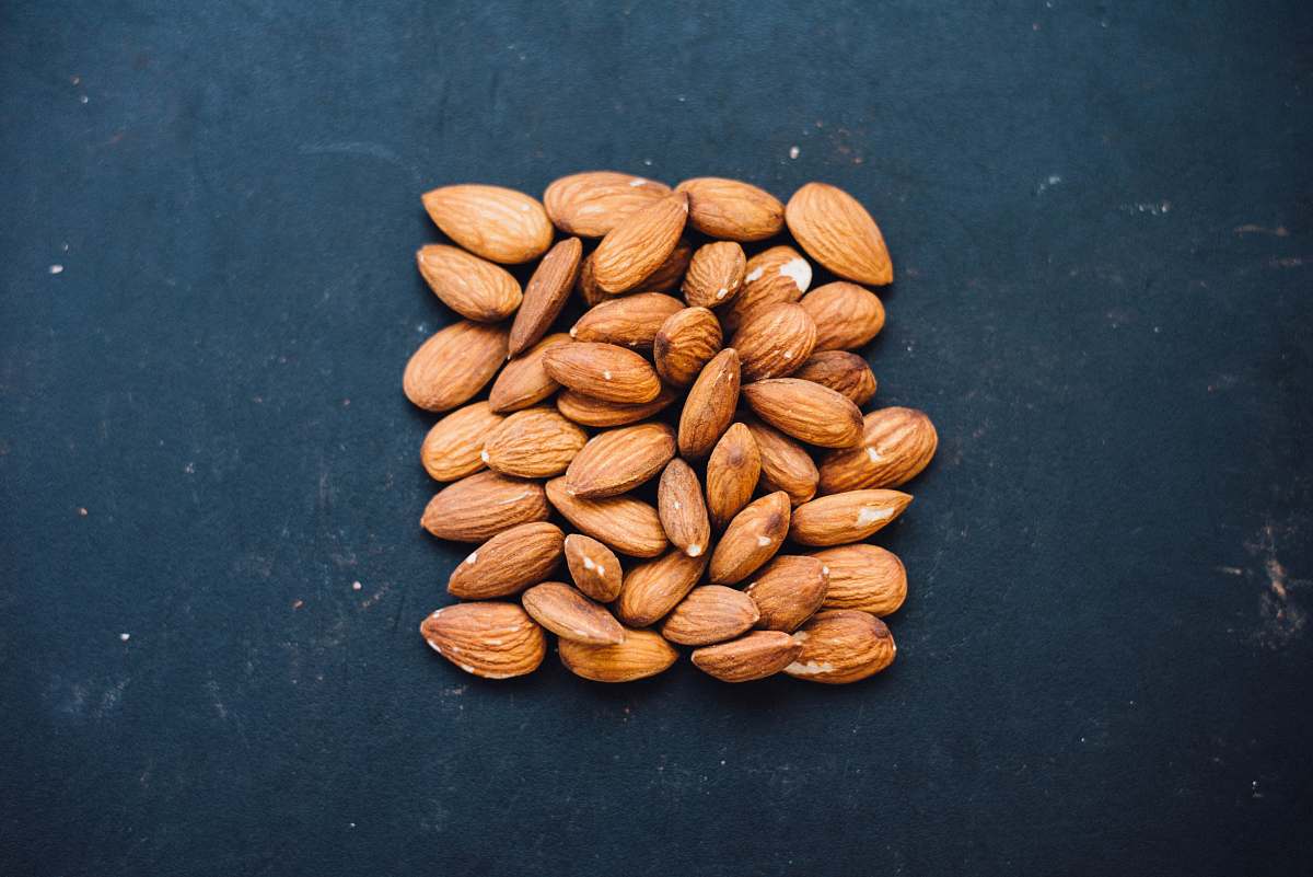 plant brown nuts on black surface flora