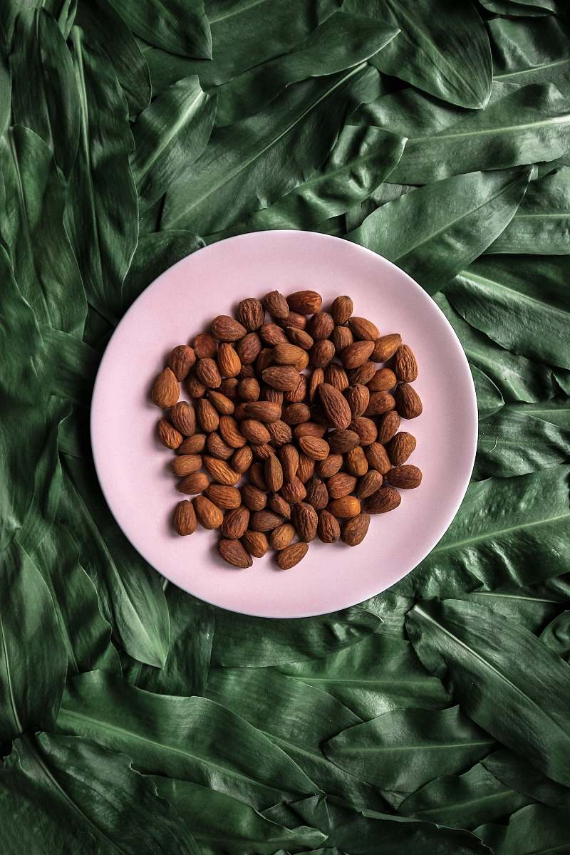 plant brown walnuts on white ceramic plate vegetable
