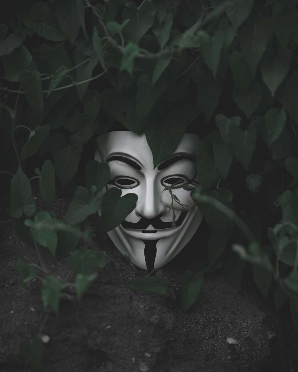 clothing Guy Fawkes mask on green leafed plant footwear