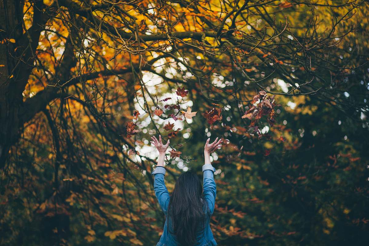 fall man in blue long-sleeved top under tree woman