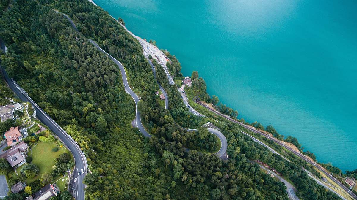 ocean aerial photography of body of water near trees water