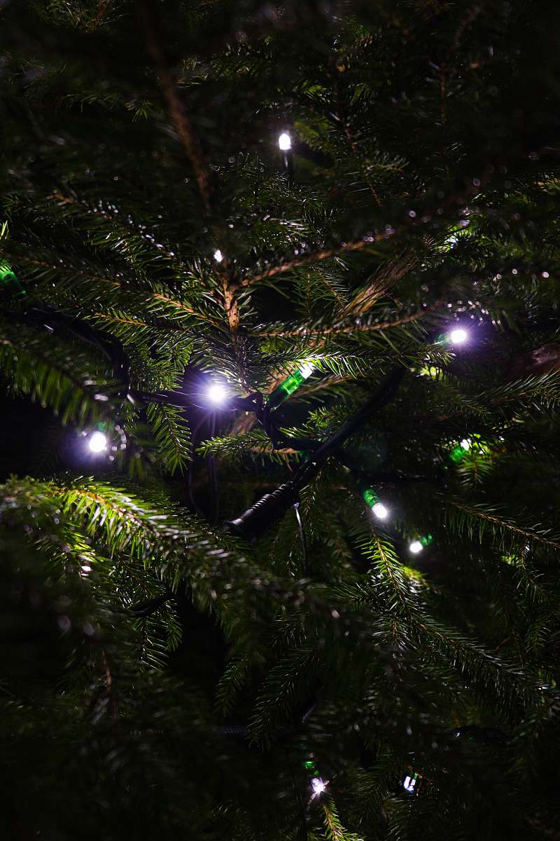 light black green tree christmas tree