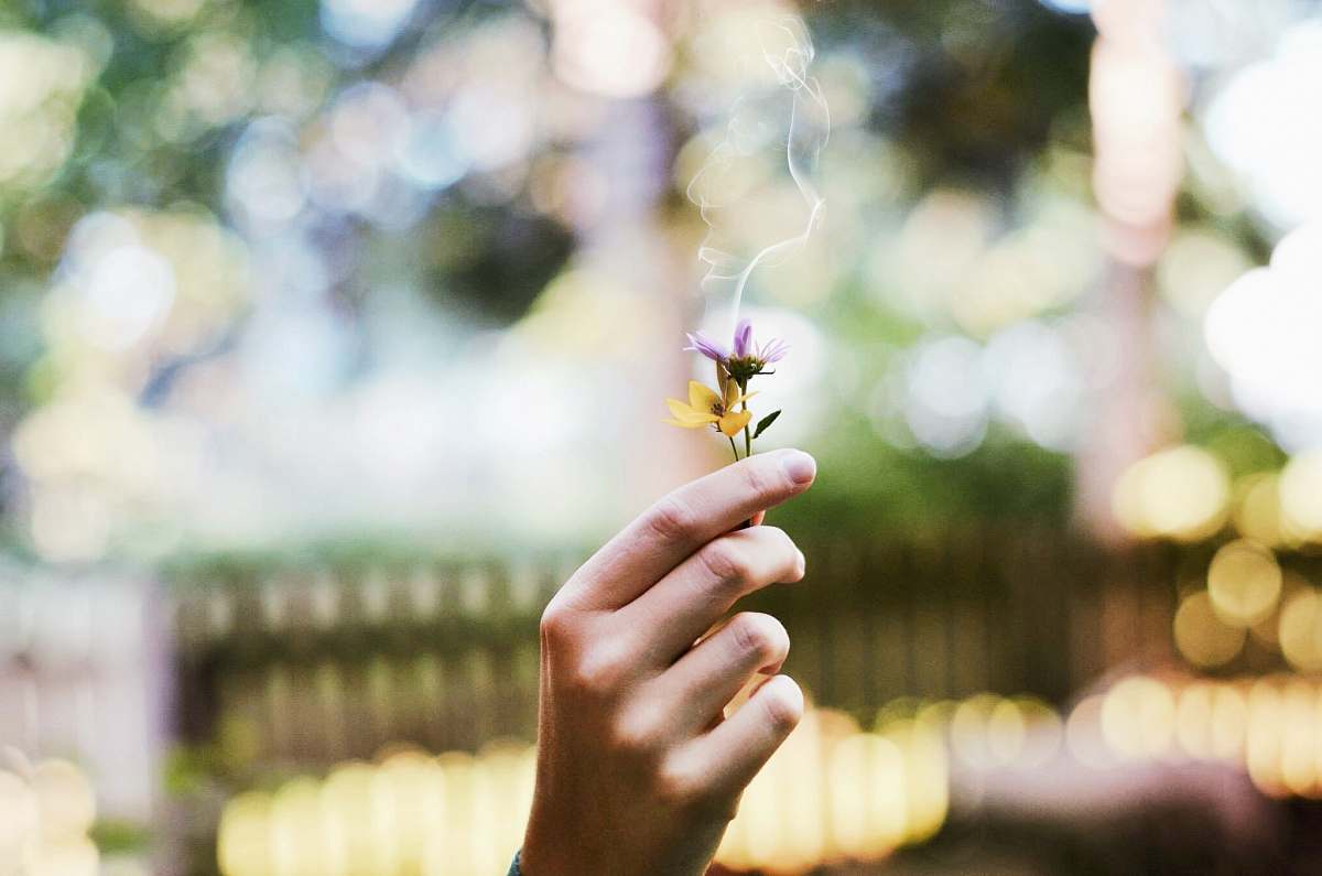 smoke shallow focus photography of purple and yellow flowers held bu person in lawn during day hand