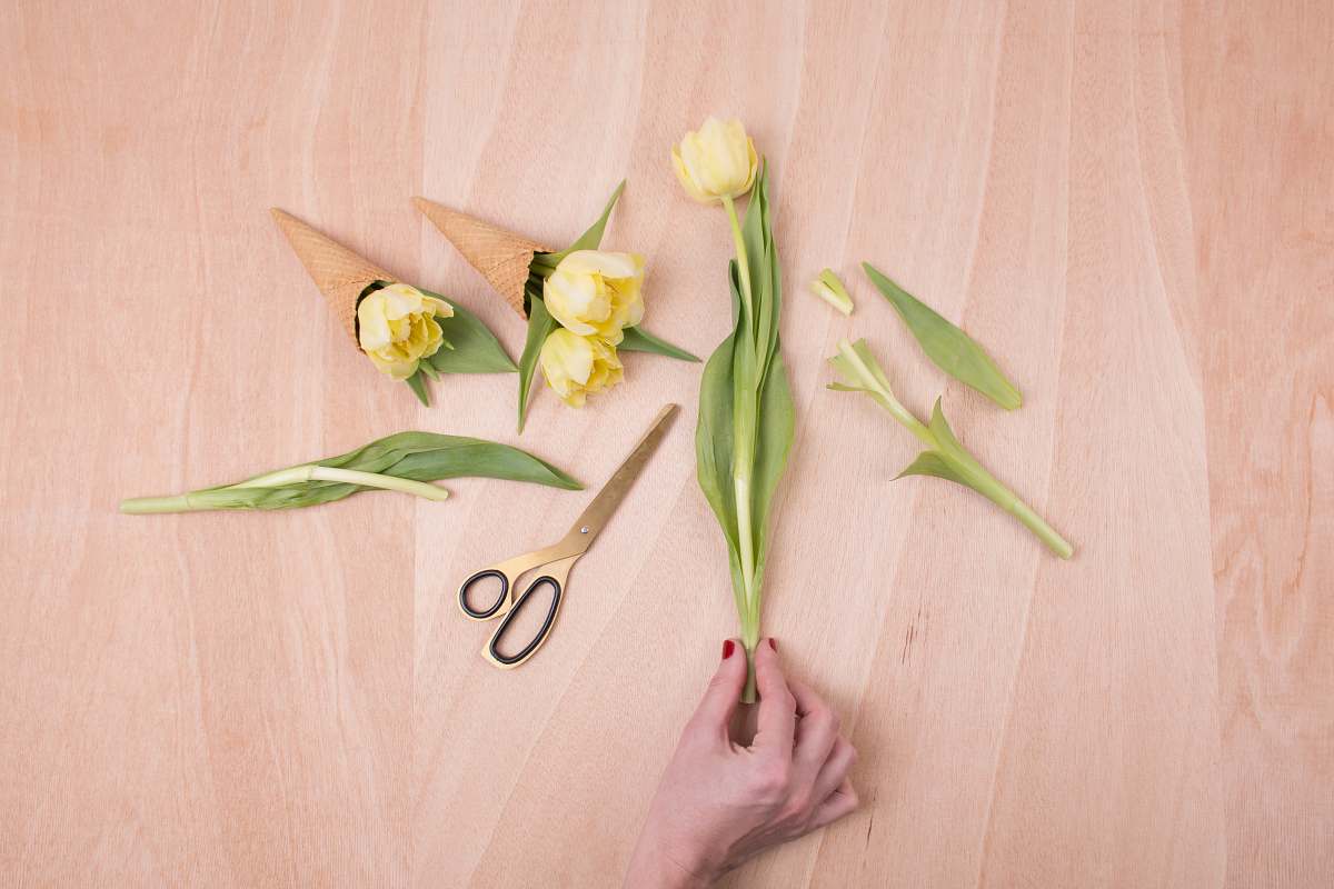 flatlay yellow petaled flower cut and placed on cones flower arrangement