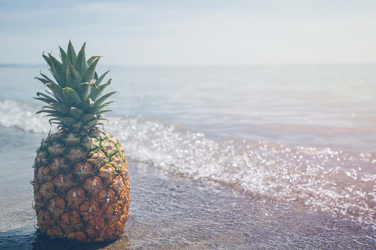 pineapple pineapple fruit on seashore photography fruit