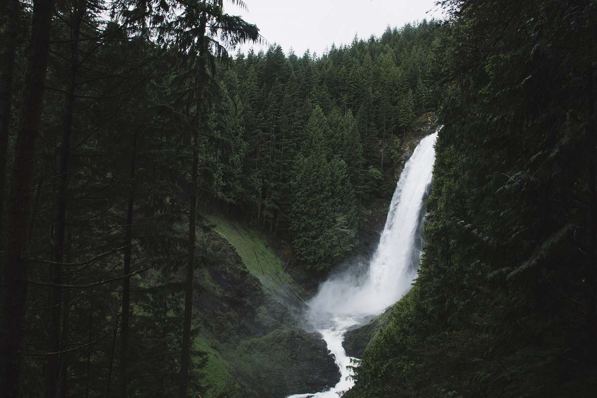 waterfall waterfalls surrounded by trees water