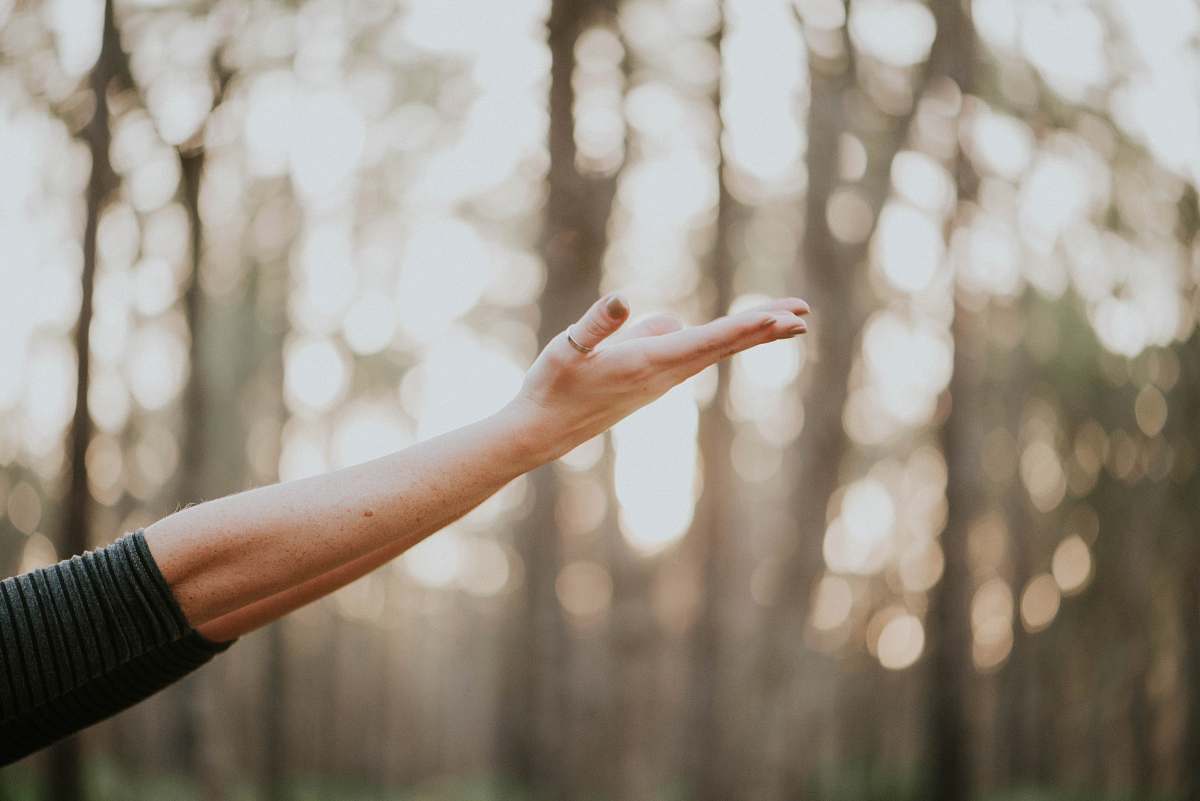 trees tilt shift lens photography of person lifting hand yoga