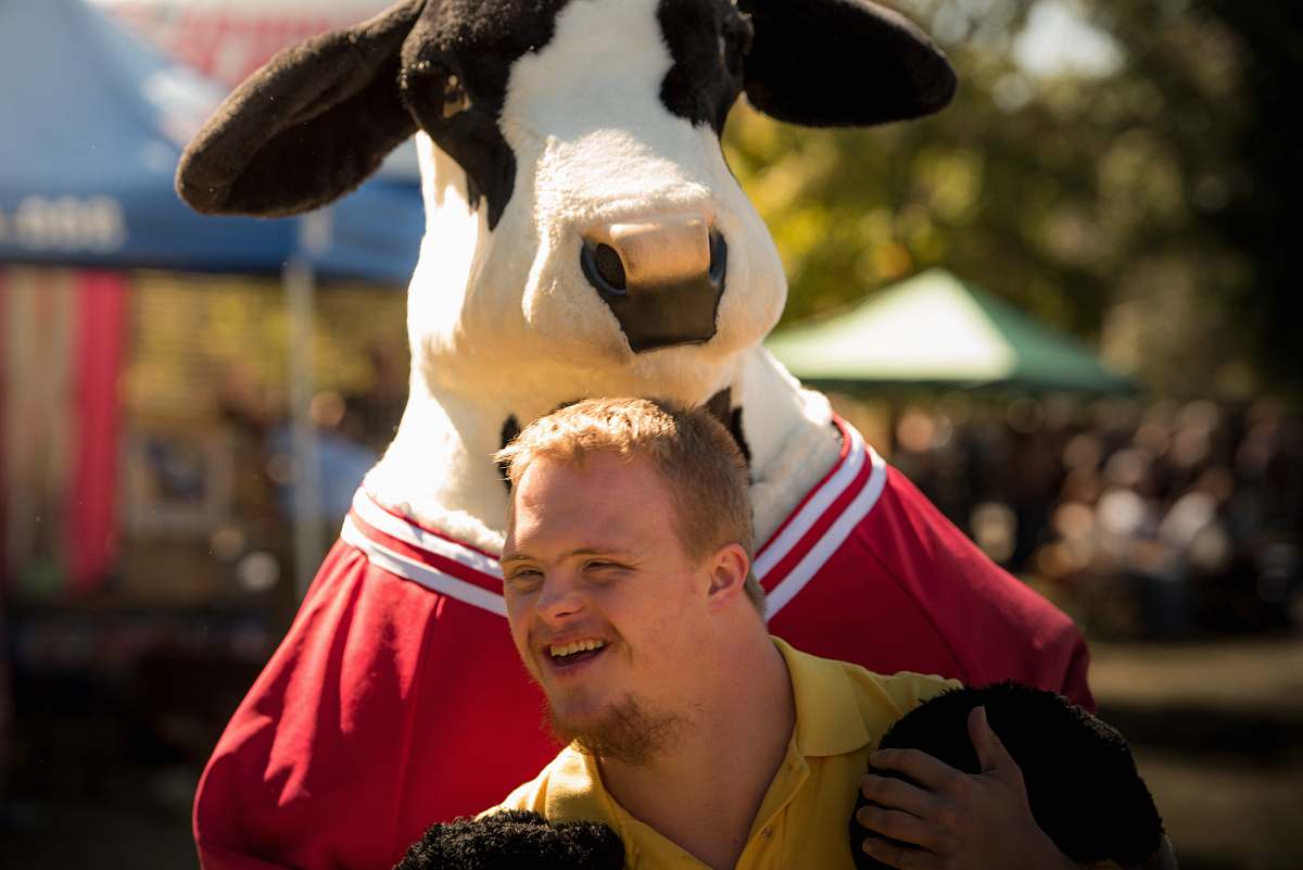 person smiling man wearing yellow polo shirt standing near cattle cosplay fun