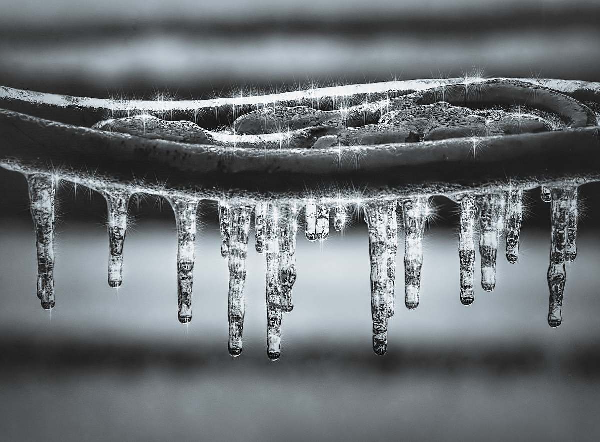 nature grayscale photography of water drops ice outdoors