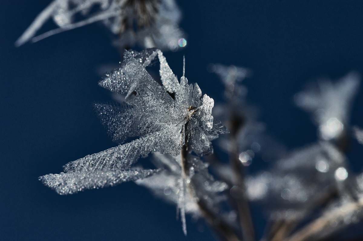 nature ice flakes outdoors