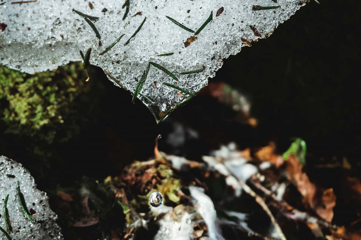 nature water droplet falling from ice block in closeup photography outdoors