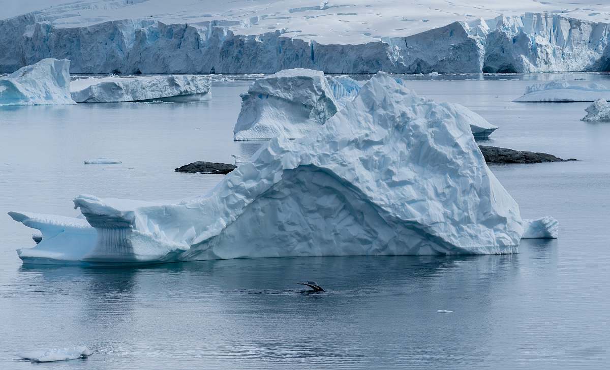 nature white glacier surrounded with water outdoors