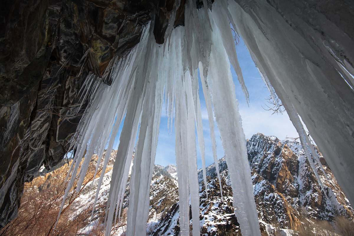 outdoors white window curtain nature