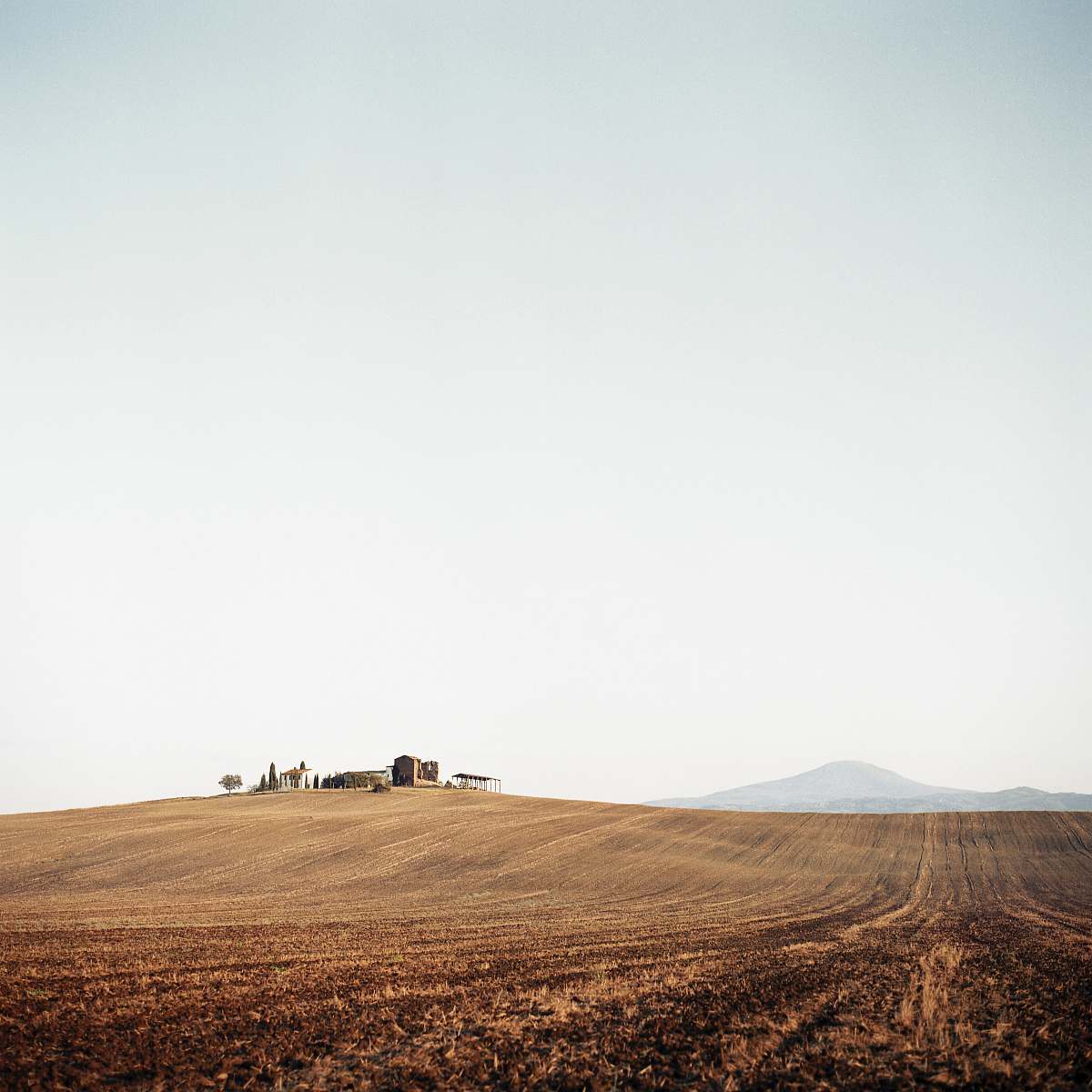 nature brown field at daytime outdoors