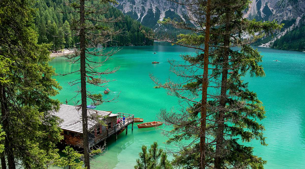 forest high angle photography of wooden boats on lake near cabin tree