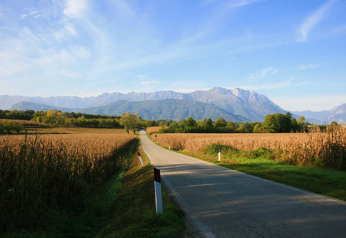 road road with grass land dirt road