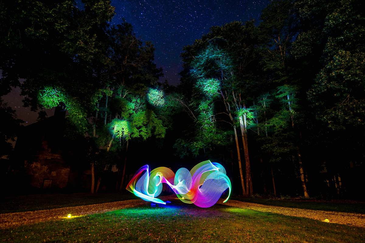 night light writing photography in forest trees
