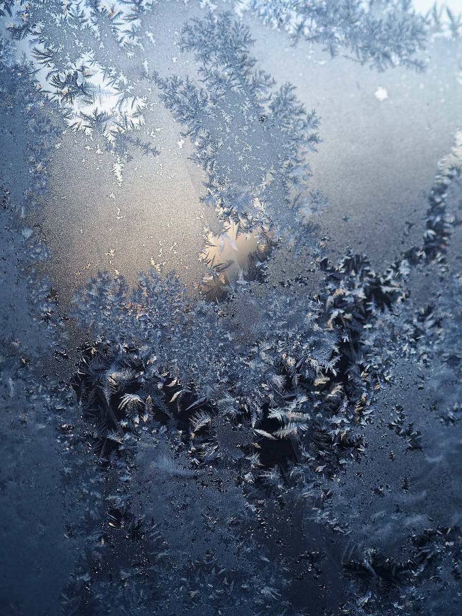 ice black and white floral textile outdoors