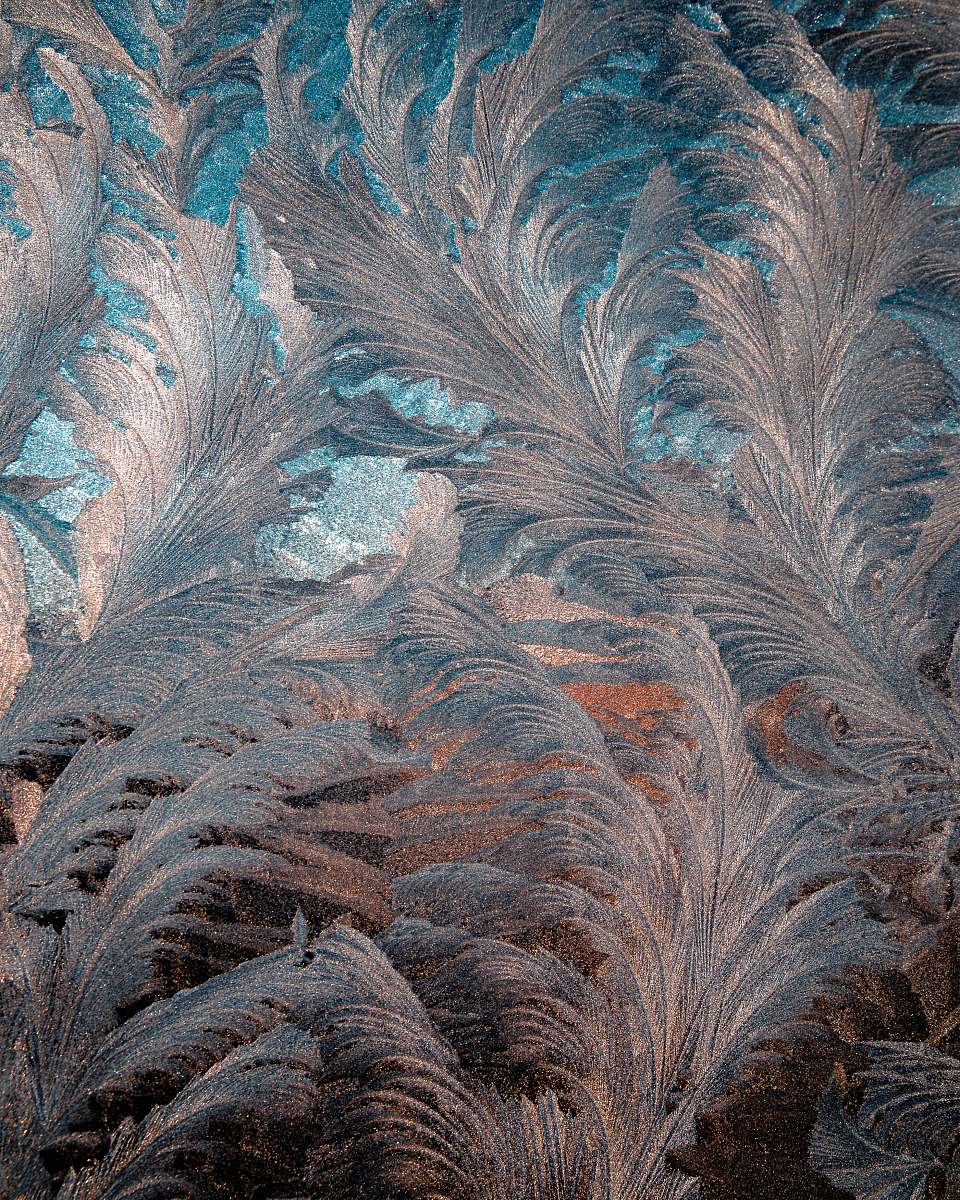 ice blue and gray floral cloth outdoors