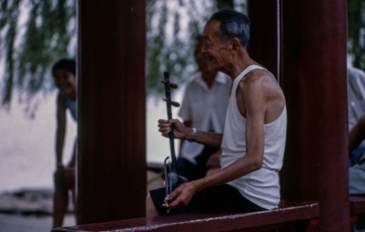 human shallow focus photography of a man playing string instrument while sitting on a bench person