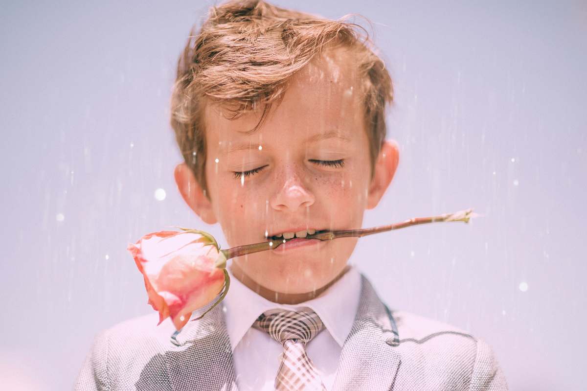 people boy biting stem of pink rose human