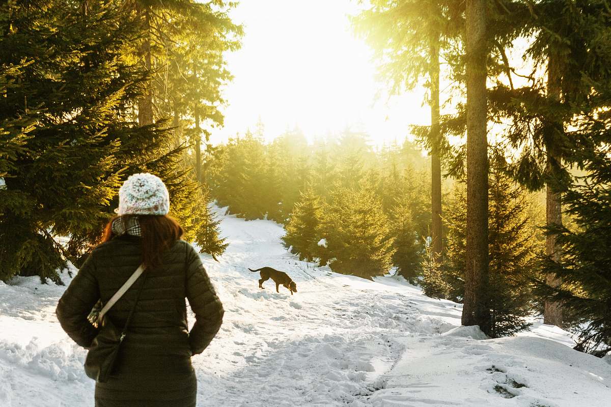 people person standing on snow covered forest watching dog sun