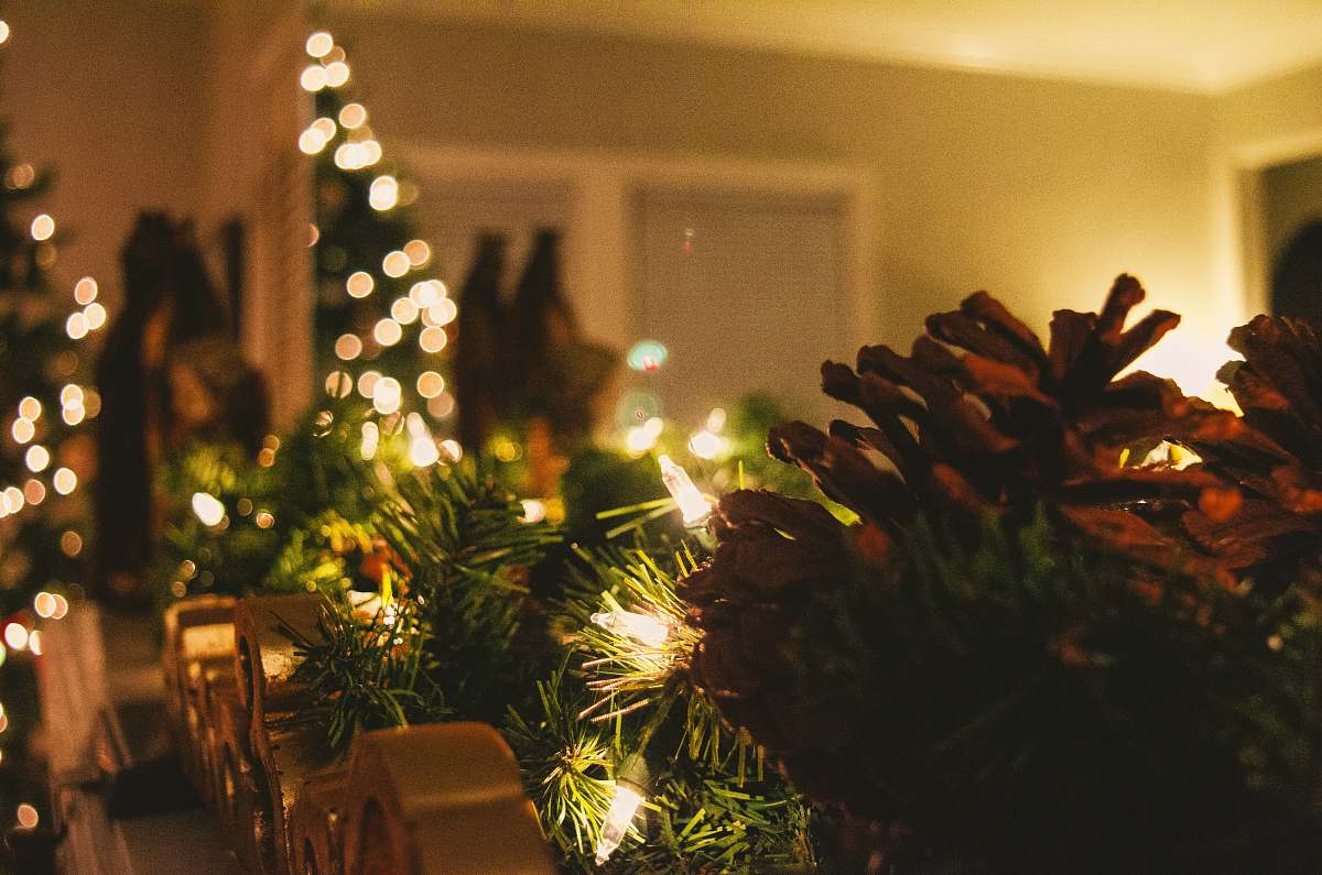 tree Christmas tree with string lights lighting