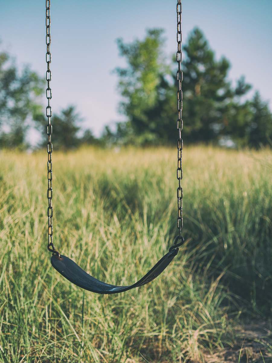 toy swing chair hanged outdoor grass