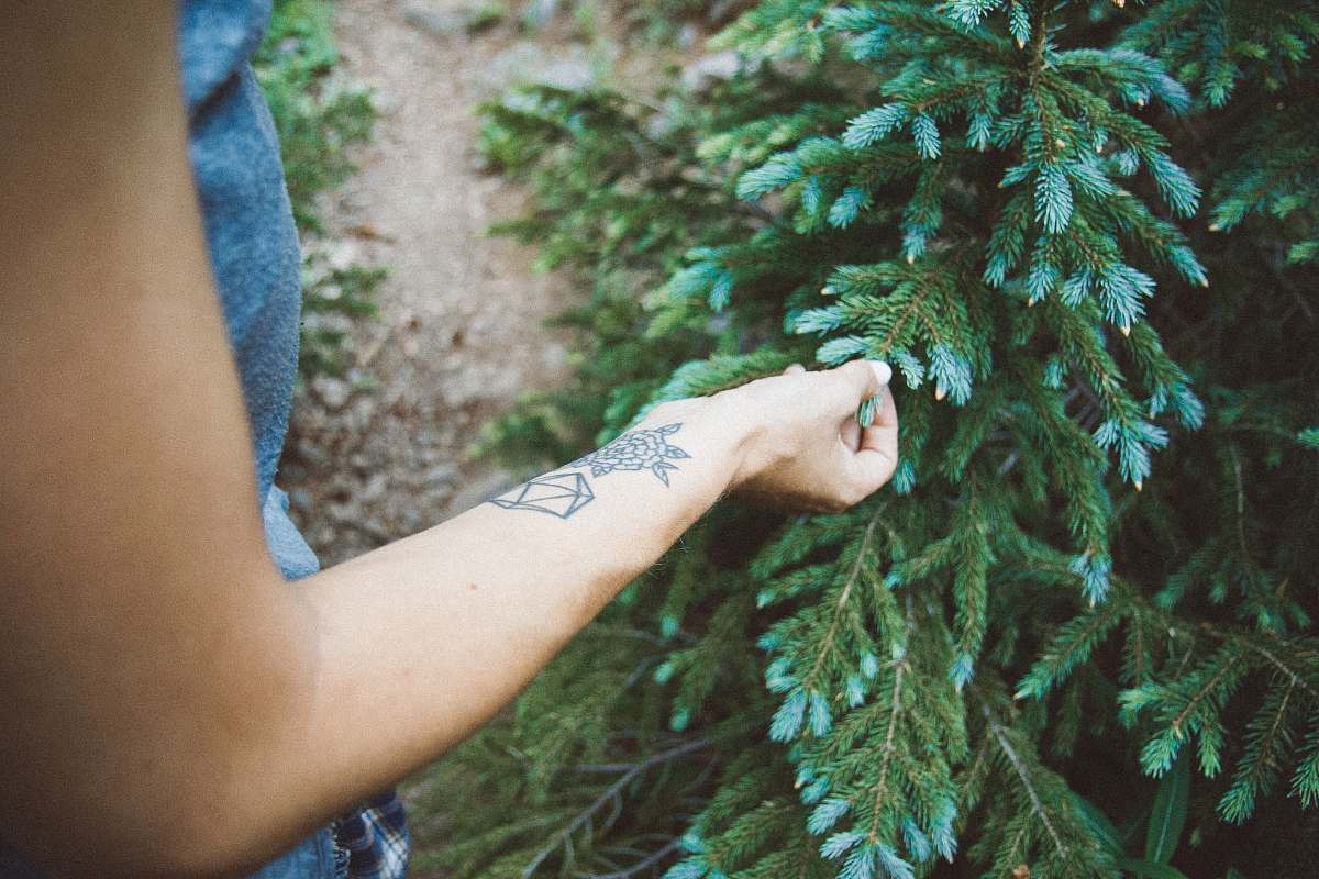 colorado person touching green leaf nature
