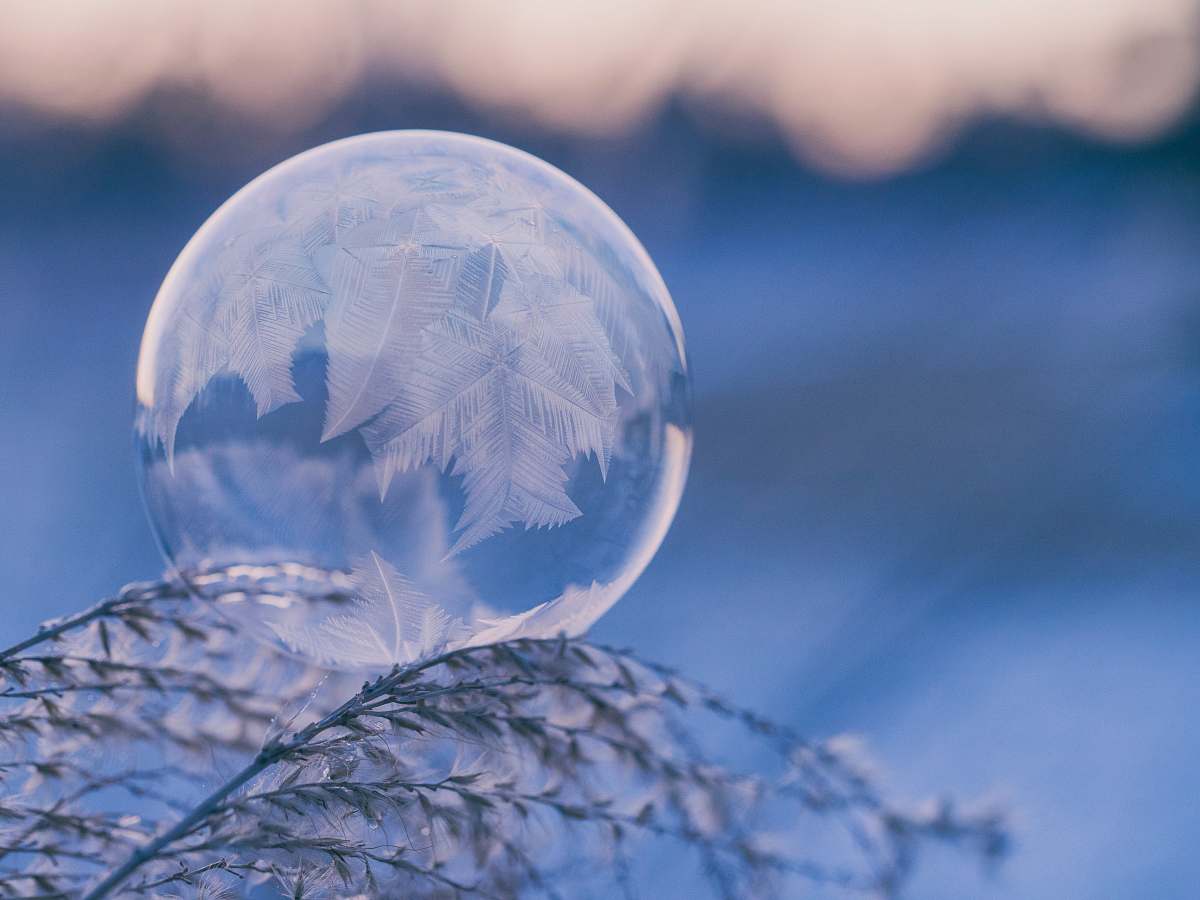 cold shallow focus photography of bubble on leaves nature