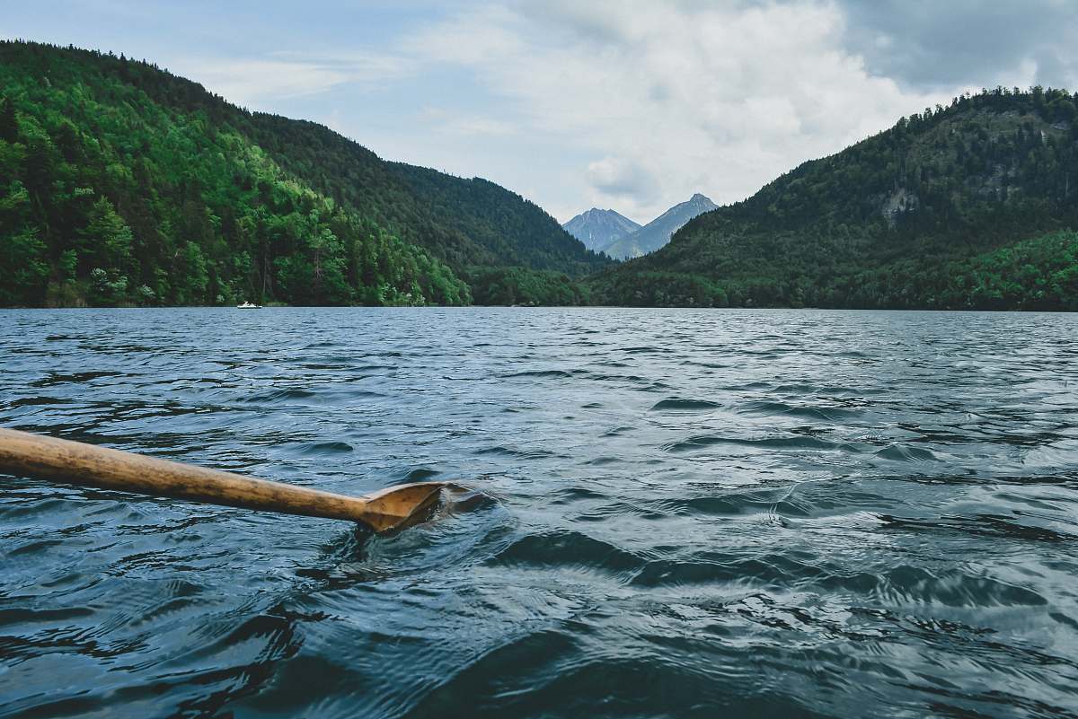 water brown paddle boat