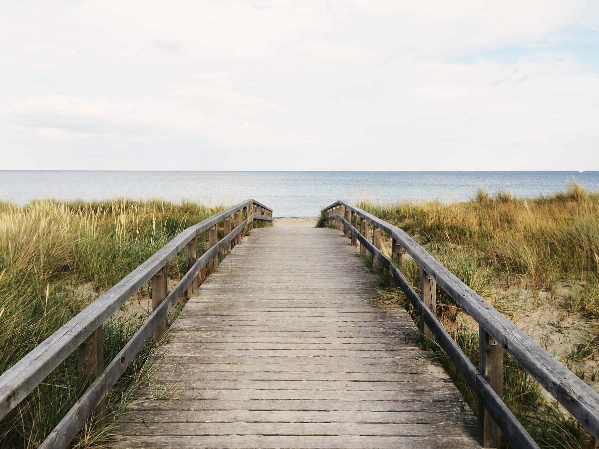 beach photo of gray wooden bridge bridge